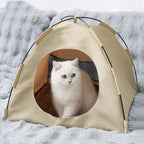 Cat Tent