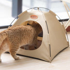 Cat Tent